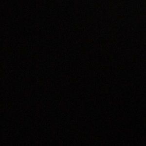 Meet your Posher, Darian